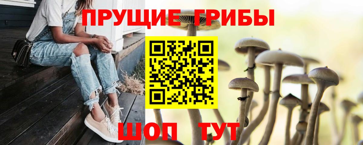 Псилоцибиновые грибы Magic Shrooms Донской
